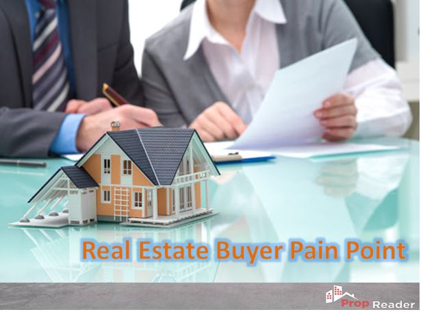 Real-Estate-Buyer-Pain-Point